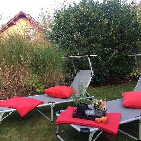 Gaestezimmer Hortensie Weil der Stadt Exterior foto